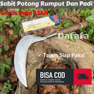 BONUS Batu Asah - Sabit Potong Rumput Dan Padi Baja Asli Putih - Paket Isi 2 Pcs Arit Pengaritan Sup