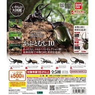 〘全套/散賣〙BANDAI GASHAPON 環保扭蛋 獨角仙編 昆蟲系列 可動 甲蟲 第十彈 扭蛋 玩具 現貨 (全5種) いきもの大図鑑 くわがた 10 ✨(不同款式價錢在中間描述位置)✨