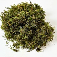 Hiasan sarang hamster dengan bunga kering, tumbuhan sebenar, rumput, alas tidur daun, bijirin, baran