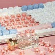 HMX Jammy & Lucky linear switch (10 Pieces) pre lubed 1 Stroke Keyboard Preloop