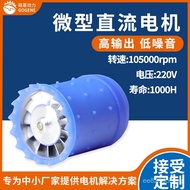 Hair Dryer220V High-power motor brushless hair dryer ultra-high speed bladeless DC24V Hair Dryer Hai