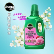 美乐棵 喜酸营养液500ML/瓶山茶花杜鹃茉莉盆栽花肥肥料园艺浓缩营养液