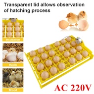 24/32 Egg Incubator Tray, Eggs Automatic Egg Turner Turning Tray for Automatic Egg Incubator Tray Incubation  Parts Accessory (220V)