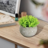 [szlztmy2mg] Artificial Bonsai Plant for Tabletop Use, Small Potted Decoration for Bedroom