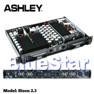 Power Ashley Bison 2.3 Switching Amplifier Class D Original