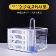 Artificial Ant Nest Ant Workshop Ant Castle Ant Nest Acrylic Nest Ant Ant Home Ant Observation Box T