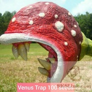 100 rare Venus flytrap seeds, strange beautiful carnivorous plant seeds, flower