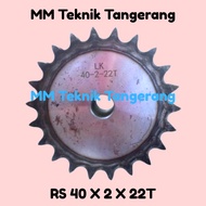 Sprocket RS 40 x 2 x 22 T Gear RS 40-2x22T Double Chain Gear Z 22T 22 T RS40 -2 40Z22 40x2x22T 40-2 