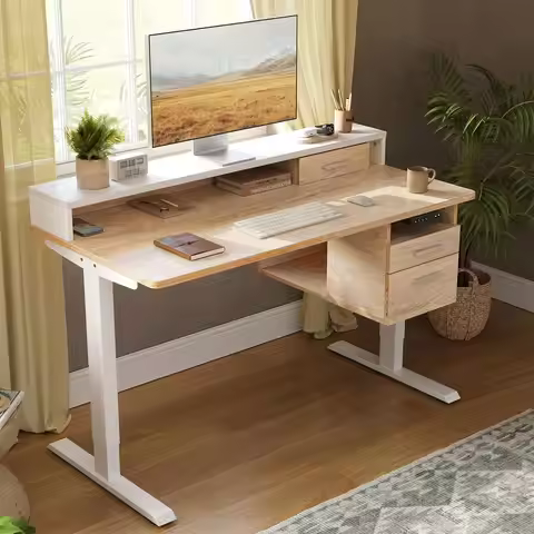 Electric Standing Desk 48 x 24 Inch with Monitor Shelf, 3 Drawers and Open Storage, Home Office Comp