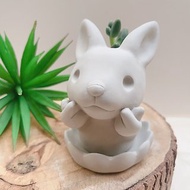 【 送禮】啾咪兔兔 植物小盆 水泥盆器