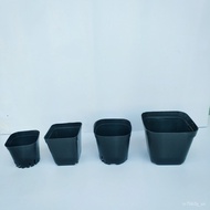 Factory Wholesale Small Black Square Succulent Pot Plastic Square Pot Succulent Bracket Flower Pot Tray