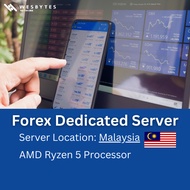 [Limited Offer] Wesbytes Official | Forex Dedicated Server | Dynamic IP RDP | MT4-MT5 | 8GB