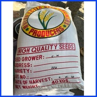 ➢ ▦ ∳ Binhi Palay Seeds/Rice Variety  222 & 436 BINHI Malakas umani Certified Seeds new harvest 1ki