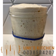 Sourdough yeast fresh bread yeast for making fresh sourdough bread yeast for baking