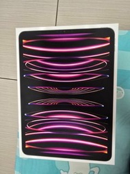 ipad pro 11-inch (4th generation) wi-fi 512gb+Cellular