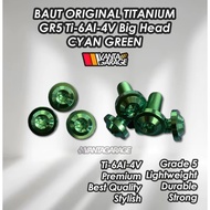 Titanium Probolt Bolt Ti6Al4V GR5 M6x20 M8x20 Umbrella HeadBIG