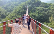 DMZ Tour: Red Suspension Bridge & Observatory from Seoul