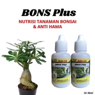 Nutrisi Tanaman Bonsai, Hormon Bonsai Adenium, Pupuk Nutrisi Bonsai