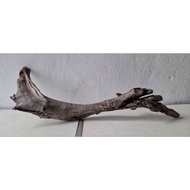 3FT 4FT AQUARIUM DRIFTWOOD BEARDED DRAGON