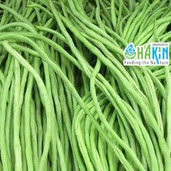 Benih Kacang Panjang - Yard Long Bean Seeds 4g | 15g | 35g