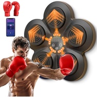 Music Boxing Machine, Electronic Music Boxing Machine, Bluetooth Boxing Machine, Smart Music Boxing 