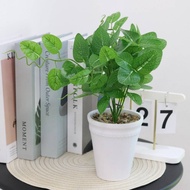 Decorative Leaves With 7 Branches Pot Not Included Height 40 Cm UW2 Fake