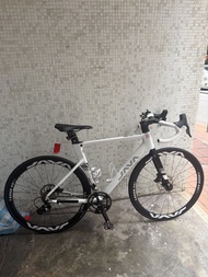 Java Siluro 魚雷 5  新手入門公路單車 公路車 碳纖維一體把