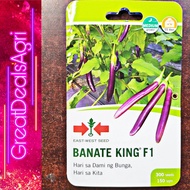 BANATE KING F1 HYBRID EGGPLANT SEEDS (300 SEEDS) EAST WEST SEEDS