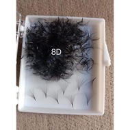 8d Volume Cluster Eyelashes Size 500 Bunches