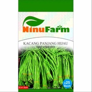 Benih Bibit Kacang Panjang / Bibit Kacang Panjang Hijau