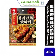 🔥抄底特惠🔥海底捞烧烤调料撒料家用烤肉孜然粉蘸料专用腌料烤串干料空气炸锅调味料 | Haidilao BBQ Seasoning Powder | Perasa Periuk Bakar Haidil
