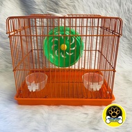 Hamster Cage with Wheel, feeder &amp; Drinker (SMALL)  ~FLAT ROOF (RANDOM COLOR)