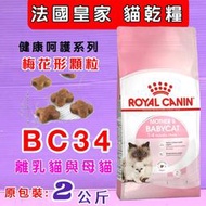 🎀小福袋🎀法國皇家ROYAL CANIN《BC34 離乳貓  2kg/包》貓飼料/貓飼料