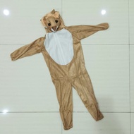 Lion Costume for Kids