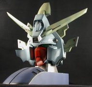 1/24 機動武鬥傳 Shinning Gundam Head Top Desk 完成品