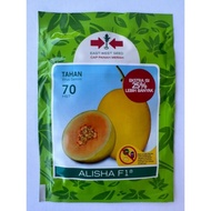 Benih Melon Golden Alisha 500 Butir