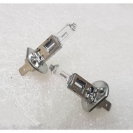 FZ H1 Halogen Bulbs (12V / 24V)