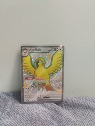 寶可夢 大比鳥 GX 卡