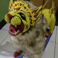 Singa depok kualitas terbaik