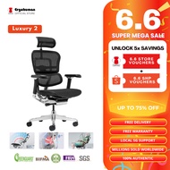 Ergohuman Luxury 2 Ergonomic Chair / Mesh Chair / Office chair