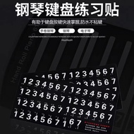 Piano Electronic Keyboard Keyboard Sticker Keyboard Sticker Electronic Keyboard Number Sticker 49 Ke