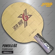 DHS POWER G PG6X Table Tennis Carbon Blade Bat Paddle Racket Ping Pong Penhold-CS