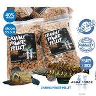CHANNA PELLET / PELLET CHANNA HIGH PROTEIN / MAKANAN CHANNA / SNAKEHEADFOOD - andrao - auranti cobra