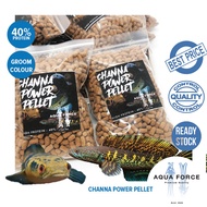 CHANNA PELLET / PELLET CHANNA HIGH PROTEIN / MAKANAN CHANNA / SNAKEHEADFOOD - andrao - auranti cobra AQUAFORCE