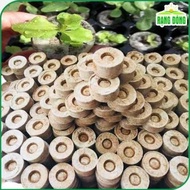 Viên Nén Xơ Dừa Ươm Hạt giống (1000 viên) viên nén sơ dừa tiện dụng tiết kiệm thời gian - h2t farm