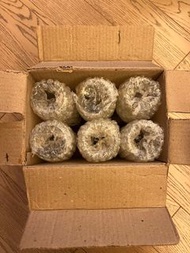 Betadine 香檳杯6個