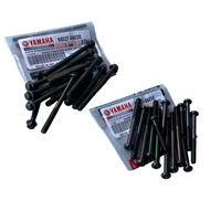 YAMAHA Y125Z Y125ZR CRANKCASE SCREW CENTRE KEPALA T8 95027-06035 / KEPALA BUNGA 98507-06035