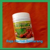 Temulawak Capsules Plus 60 Capsules, Al Ghuroba Natural Herbal Fattening Body Appetite Enhancer Natural