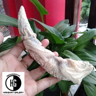 pipa rokok once tulang iga duyung ukir naga lilit D880