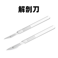 Bio Anatomy Teaching Instrument Insect Anatomy Plant Anatomy